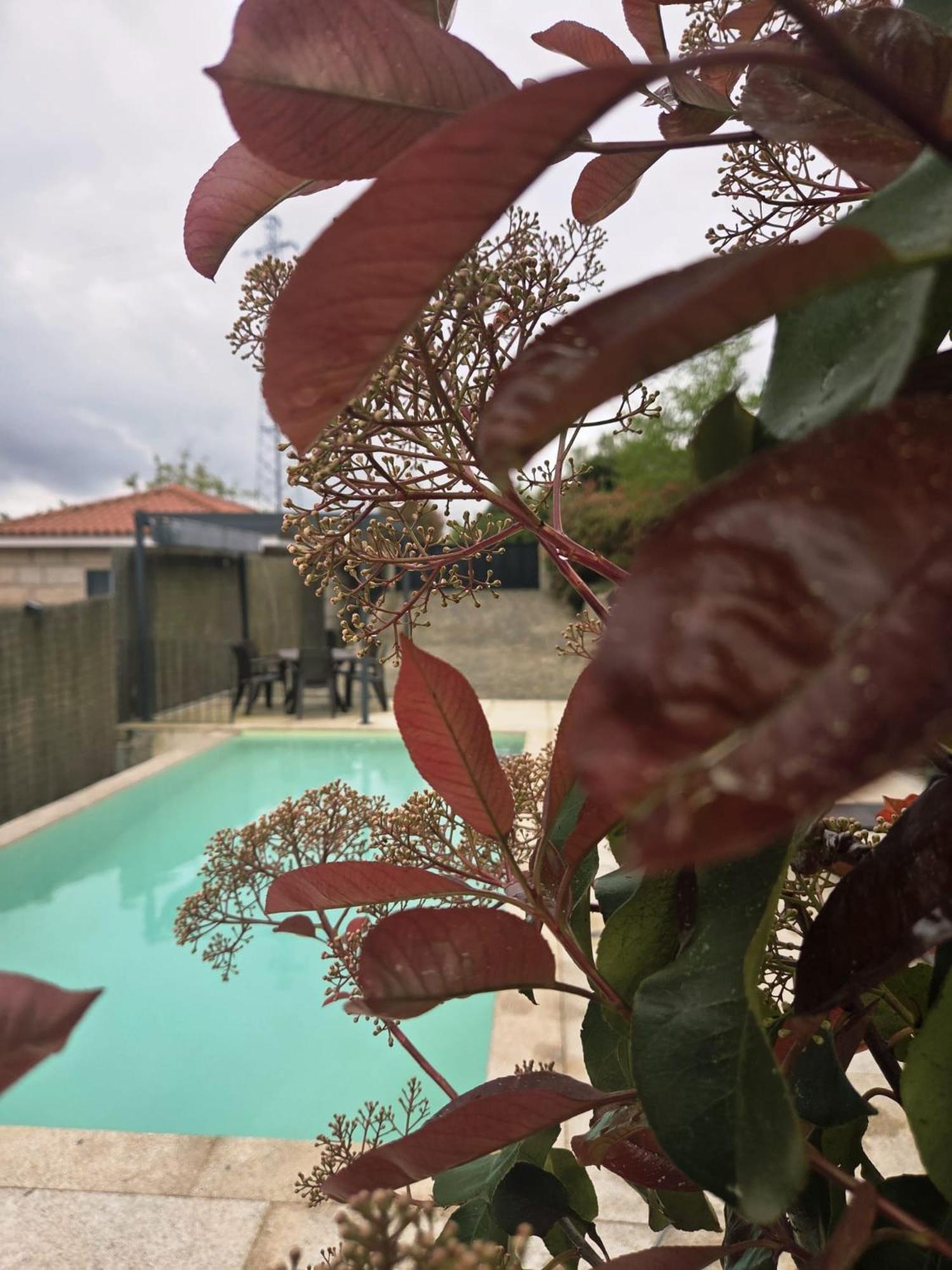 הוילה קאמפו דו ז'רס Casa Fraga Do Suadouro מראה חיצוני תמונה